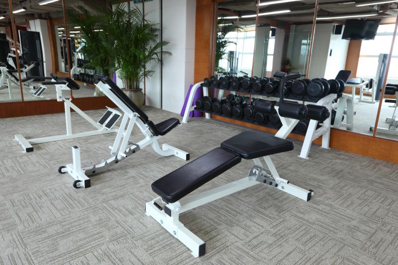 Gym Mirrors Installation in Longmont, CO